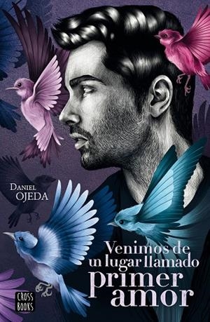 VENIMOS DE UN LUGAR LLAMADO PRIMER AMOR | 9788408224877 | OJEDA CHECA, DANIEL | Llibreria La Gralla | Librería online de Granollers