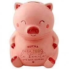 GUARDIOLA MR.WONDERFUL PORC PARA TODO LO BONITO QUE NOS ESPERA | 8435460771849 | Llibreria La Gralla | Llibreria online de Granollers