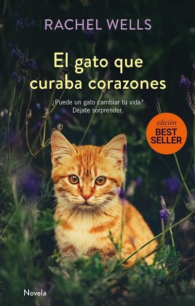 GATO QUE CURABA CORAZONES, EL | 9788417128173 | WELLS, RACHEL | Llibreria La Gralla | Librería online de Granollers