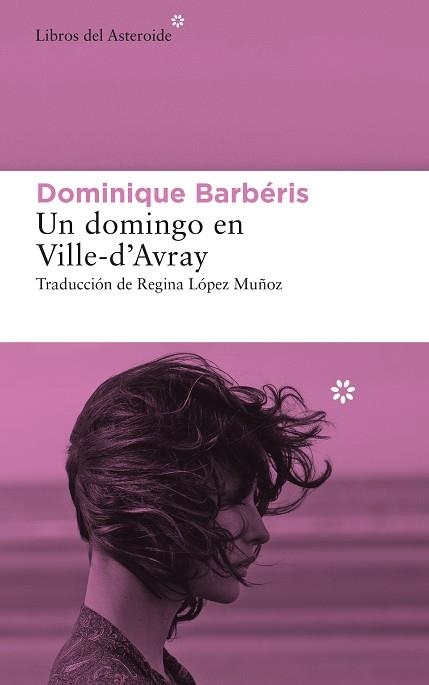 UN DOMINGO EN VILLE-D’AVRAY | 9788417977634 | BARBÉRIS, DOMINIQUE | Llibreria La Gralla | Librería online de Granollers