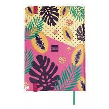 AGENDA ESCOLAR 2021-2022 FINOCAM NATURAL 1/4 DP | 8422952314646 | 56204 | Llibreria La Gralla | Llibreria online de Granollers