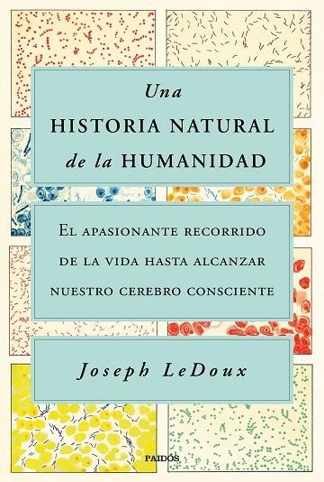 HISTORIA NATURAL DE LA HUMANIDAD, UNA | 9788449338274 | LEDOUX, JOSEPH | Llibreria La Gralla | Llibreria online de Granollers