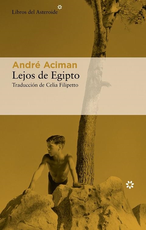 LEJOS DE EGIPTO | 9788417977757 | ACIMAN, ANDRÉ | Llibreria La Gralla | Llibreria online de Granollers