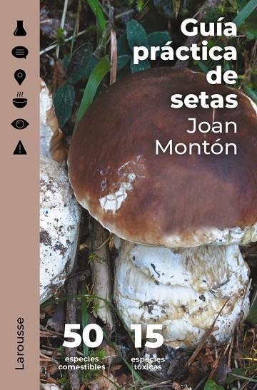 GUÍA PRÁCTICA DE SETAS | 9788418473845 | MONTÓN MARTÍNEZ, JOAN | Llibreria La Gralla | Librería online de Granollers