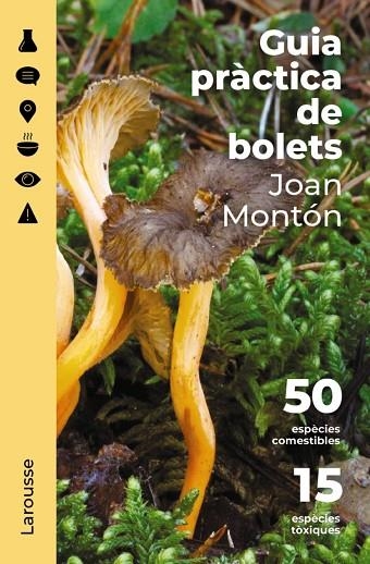 GUIA PRÀCTICA DE BOLETS | 9788418473852 | MONTÓN MARTÍNEZ, JOAN | Llibreria La Gralla | Librería online de Granollers