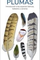 DESPLEGABLE PLUMAS | 9788418458057 | HERNANDEZ,VICTOR J | Llibreria La Gralla | Librería online de Granollers