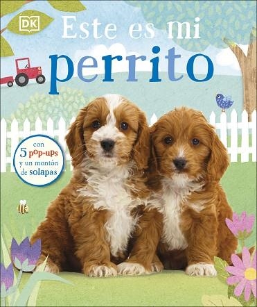 ESTE ES MI PERRITO | 9780241538173 | VVAA | Llibreria La Gralla | Llibreria online de Granollers