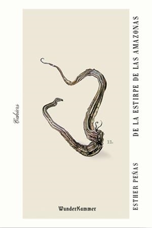 DE LA ESTIRPE DE LAS AMAZONAS | 9788412401004 | PEÑAS DOMINGO, ESTHER | Llibreria La Gralla | Librería online de Granollers