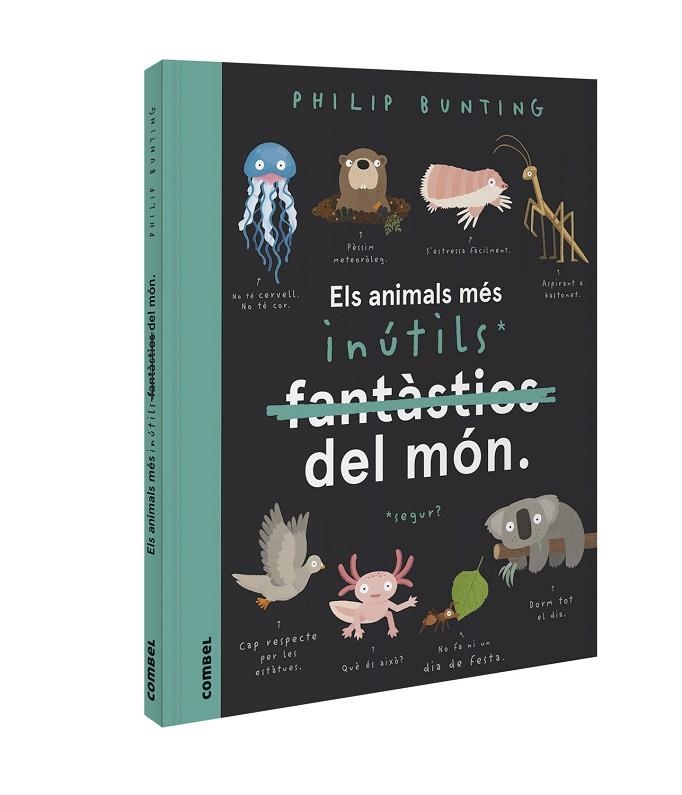 ANIMALS MÉS INÚTILS DEL MÓN, ELS | 9788491018094 | BUNTING, PHILIP | Llibreria La Gralla | Librería online de Granollers