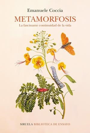 METAMORFOSIS | 9788418859052 | COCCIA, EMANUELE | Llibreria La Gralla | Librería online de Granollers