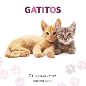 CALENDARIO GATITOS 2022 | 9788448028695 | AA. VV. | Llibreria La Gralla | Llibreria online de Granollers