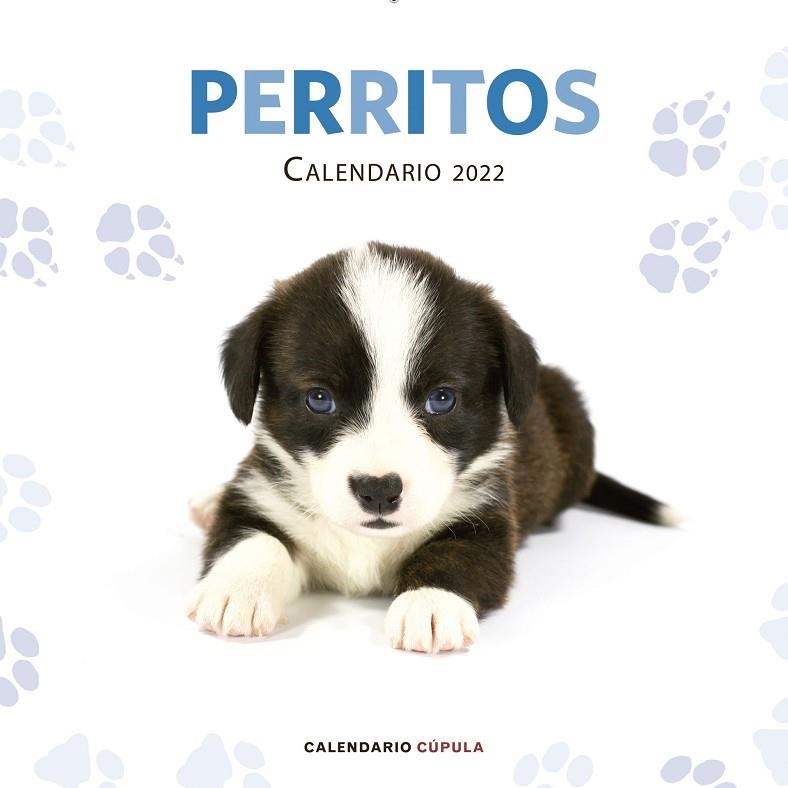 CALENDARIO PERRITOS 2022 | 9788448028701 | AA. VV. | Llibreria La Gralla | Llibreria online de Granollers