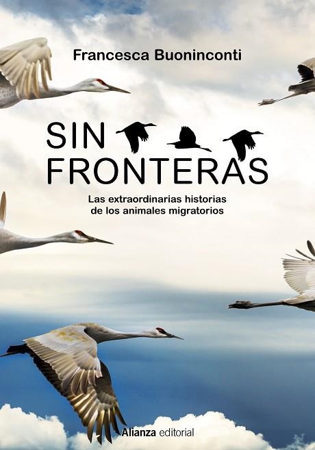 SIN FRONTERAS | 9788413625300 | BUONINCONTI, FRANCESCA | Llibreria La Gralla | Llibreria online de Granollers