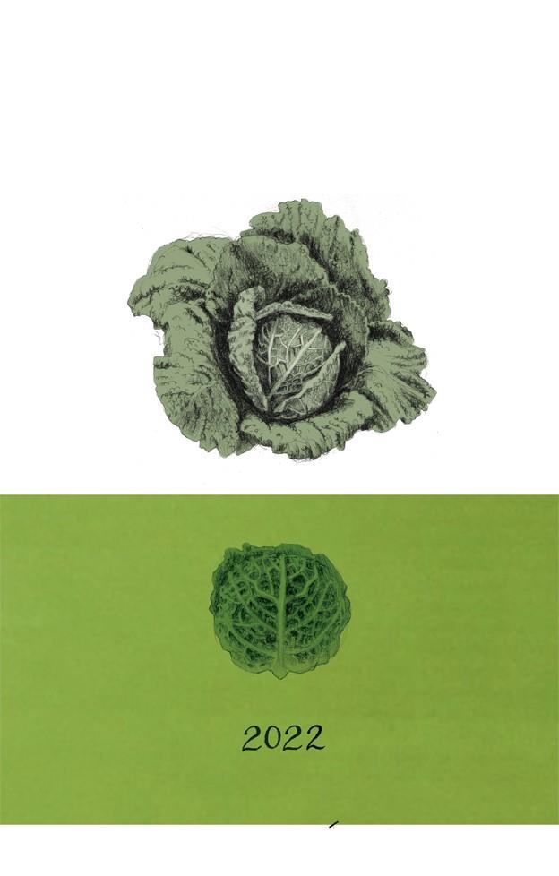 CALENDARIO DE LAS VERDURAS 2022 | 9788418900105 | POMÉS LEIZ, JULIET | Llibreria La Gralla | Llibreria online de Granollers