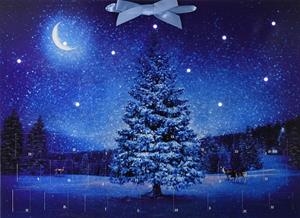 CALENDARI D'ADVENT MUSICAL MUNTANYA MAGICA | 4050003714349 | COPPENRATH | Llibreria La Gralla | Llibreria online de Granollers