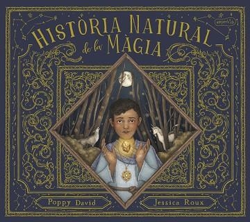 HISTÒRIA NATURAL DE LA MÀGIA | 9788418279874 | DAVID, POPPY | Llibreria La Gralla | Llibreria online de Granollers