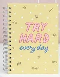 LLIBRETA A5 ESPIRAL MR.WONDERFUL TRY HARD EVERY DAY | 8435460732901 | Llibreria La Gralla | Librería online de Granollers