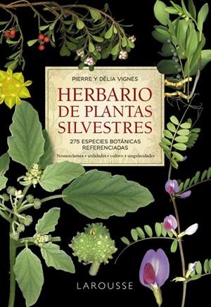 HERBARIO DE PLANTAS SILVESTRES | 9788418473999 | VIGNES, PIERRE/VIGNES, DÉLIA | Llibreria La Gralla | Librería online de Granollers