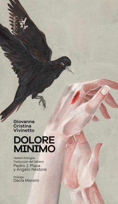 DOLORE MINIMO | 9788412276664 | VIVINETTO, GIOVANNA CRISTINA | Llibreria La Gralla | Llibreria online de Granollers