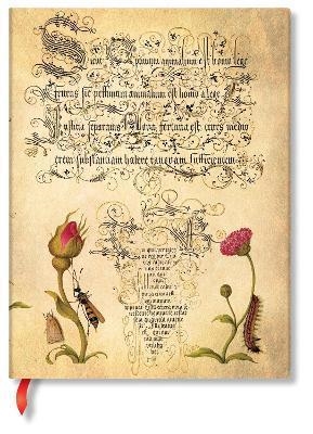 LLIBRETA PAPERBLANKS MIRA BOTANICA FLEMISH ROSE UNLINED MIDI | 9781439781722 | Llibreria La Gralla | Llibreria online de Granollers