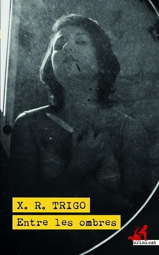 ENTRE LES OMBRES | 9788418584220 | TRIGO, XULIO RICARDO | Llibreria La Gralla | Llibreria online de Granollers