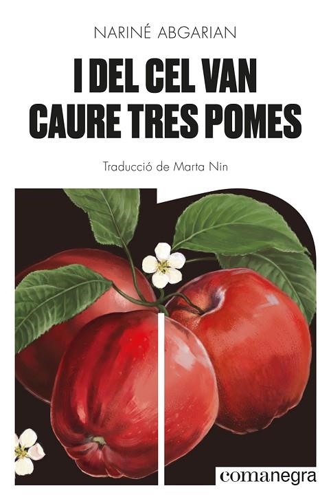 I DEL CEL VAN CAURE TRES POMES | 9788418857041 | ABGARIAN, NARINÉ | Llibreria La Gralla | Llibreria online de Granollers