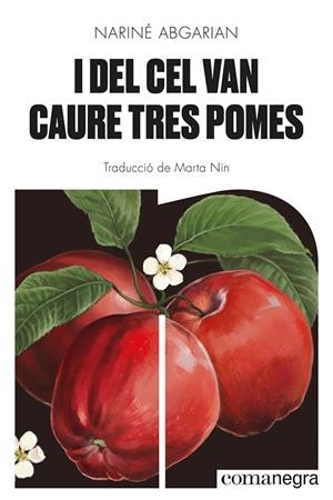 I DEL CEL VAN CAURE TRES POMES | 9788418857041 | ABGARIAN, NARINÉ | Llibreria La Gralla | Librería online de Granollers