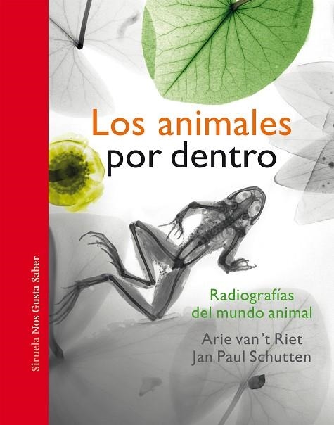 ANIMALES POR DENTRO, LOS | 9788417996963 | SCHUTTEN, JAN PAUL | Llibreria La Gralla | Llibreria online de Granollers
