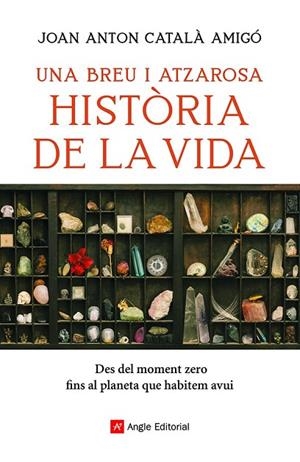 UNA BREU I ATZAROSA HISTÒRIA DE LA VIDA | 9788418197956 | CATALÀ AMIGÓ, JOAN ANTON | Llibreria La Gralla | Llibreria online de Granollers