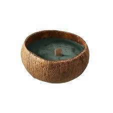 ESPELMA CHIC MIC VEGANA COCO BOSC PINS | 4260595858882 | 4330406 | Llibreria La Gralla | Librería online de Granollers