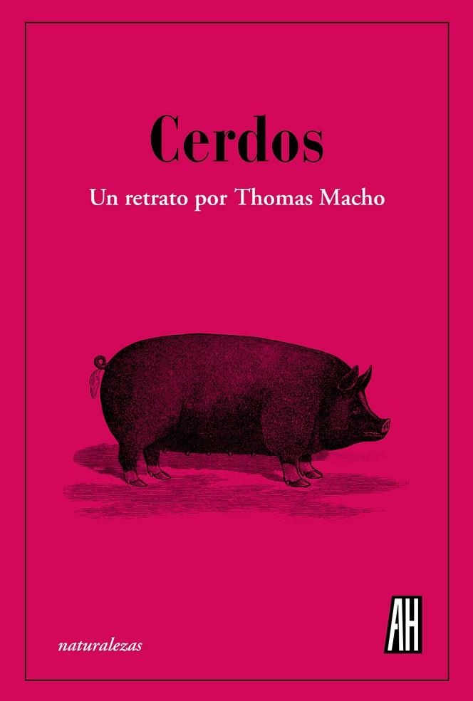 CERDOS | 9788412403398 | MACHO, THOMAS | Llibreria La Gralla | Llibreria online de Granollers