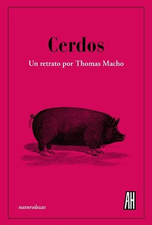 CERDOS | 9788412403398 | MACHO, THOMAS | Llibreria La Gralla | Librería online de Granollers