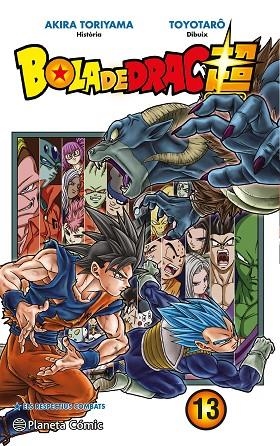 BOLA DE DRAC SUPER Nº 13 | 9788491730323 | TORIYAMA, AKIRA / TOYOTARÔ | Llibreria La Gralla | Llibreria online de Granollers