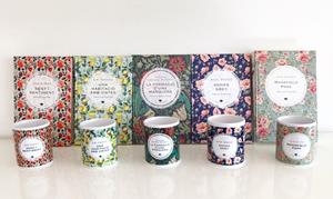 TASSA AGNES GREY | 1170000050004 | VIENA EDICIONS | Llibreria La Gralla | Llibreria online de Granollers