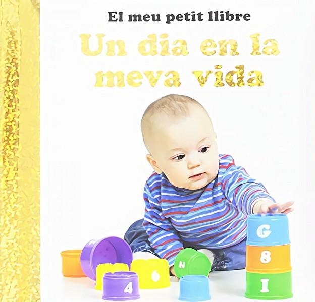 DIA EN LA MEVA VIDA, UN. EL MEU PETIT LLIBRE | 9788742550687 | VV.AA | Llibreria La Gralla | Llibreria online de Granollers