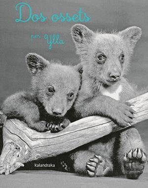 DOS OSSETS | 9788418558283 | KOFFLER, CAMILLA | Llibreria La Gralla | Librería online de Granollers