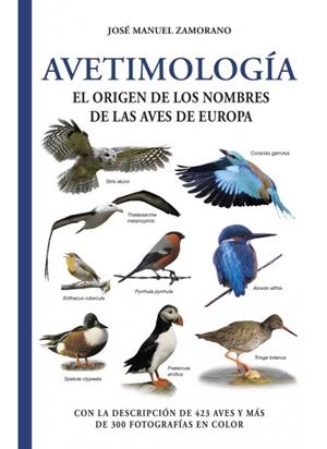 AVETIMOLOGIA | 9788428217484 | ZAMORANO, JOSE MANUEL | Llibreria La Gralla | Librería online de Granollers