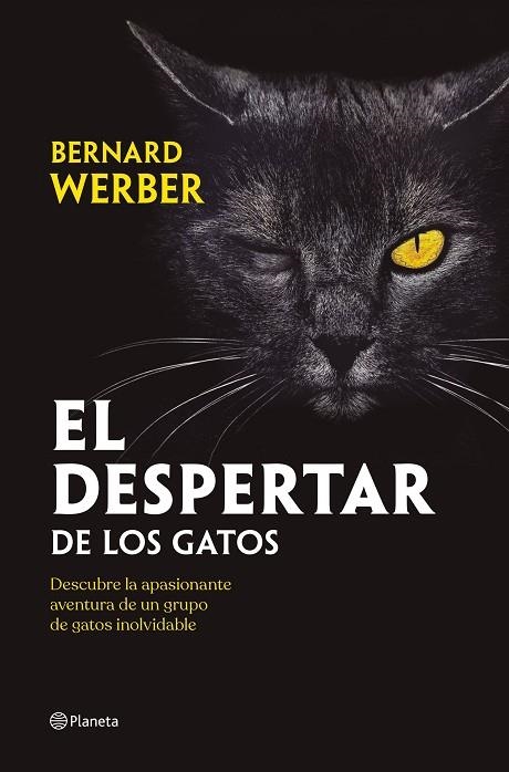 DESPERTAR DE LOS GATOS, EL | 9788408251835 | WERBER, BERNARD | Llibreria La Gralla | Llibreria online de Granollers