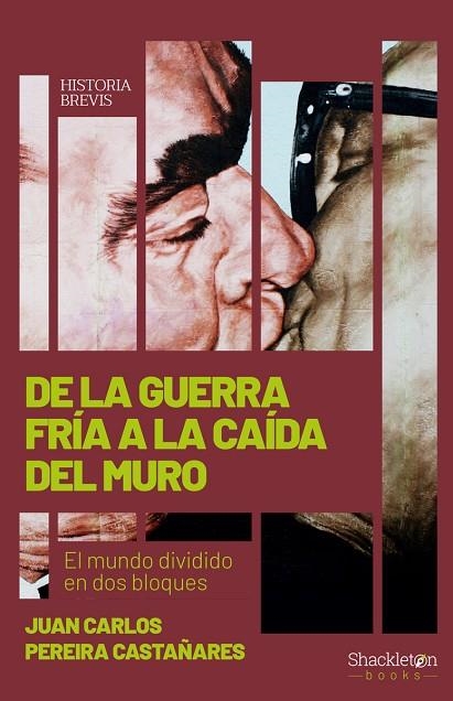 DE LA GUERRA FRÍA A LA CAÍDA DEL MURO | 9788413611280 | PEREIRA CASTAÑARES, JUAN CARLOS | Llibreria La Gralla | Librería online de Granollers