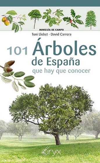 101 ÁRBOLES DE ESPAÑA | 9788418735097 | LLOBET FRANÇOIS, TONI / CARRERA BONET, DAVID | Llibreria La Gralla | Llibreria online de Granollers