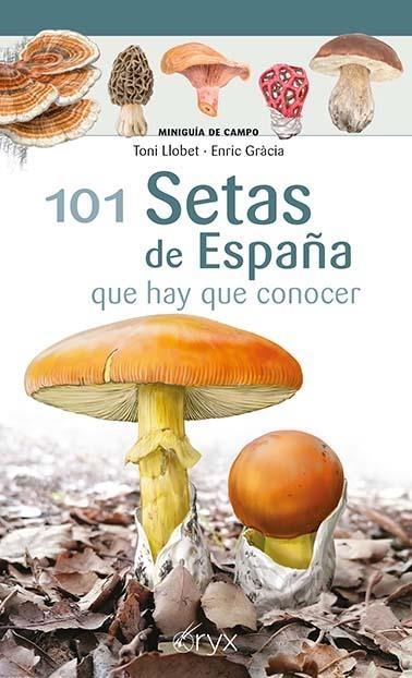 101 SETAS DE ESPAÑA | 9788418735080 | LLOBET FRANÇOIS, TONI / GRÀCIA I BARBA, ENRIC | Llibreria La Gralla | Librería online de Granollers