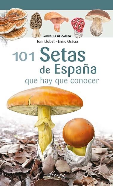 101 SETAS DE ESPAÑA | 9788418735080 | LLOBET FRANÇOIS, TONI / GRÀCIA I BARBA, ENRIC | Llibreria La Gralla | Llibreria online de Granollers