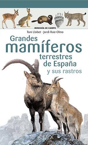 GRANDES MAMÍFEROS TERRESTRES DE ESPAÑA Y SUS RASTROS | 9788418735073 | LLOBET FRANÇOIS, TONI / RUIZ-OLMO , JORDI | Llibreria La Gralla | Llibreria online de Granollers