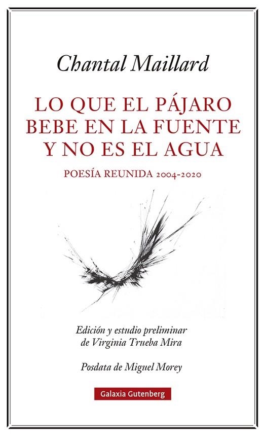 LO QUE EL PÁJARO BEBE EN LA FUENTE Y NO ES EL AGUA | 9788418807633 | MAILLARD, CHANTAL | Llibreria La Gralla | Librería online de Granollers