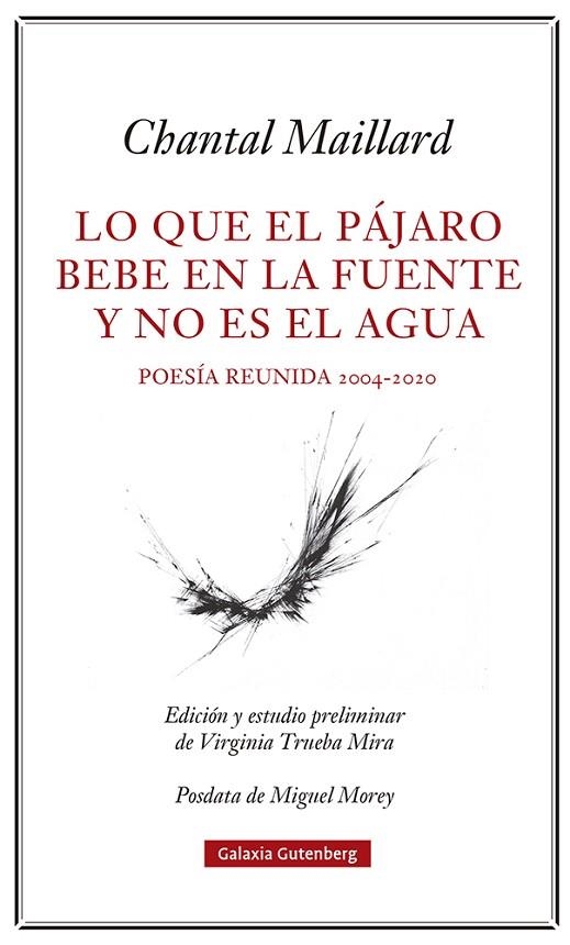 LO QUE EL PÁJARO BEBE EN LA FUENTE Y NO ES EL AGUA | 9788418807633 | MAILLARD, CHANTAL | Llibreria La Gralla | Llibreria online de Granollers