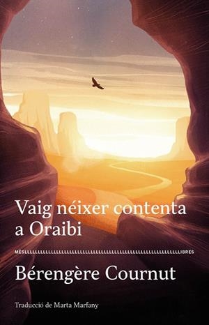VAIG NÉIXER CONTENTA A ORAIBI | 9788417353377 | COURNUT, BERENGERE | Llibreria La Gralla | Librería online de Granollers