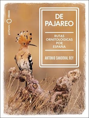 DE PAJAREO | 9788408251514 | SANDOVAL, ANTONIO | Llibreria La Gralla | Llibreria online de Granollers