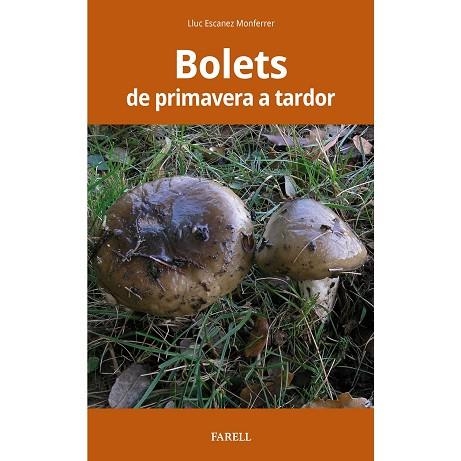 BOLETS DE PRIMAVERA A TARDOR | 9788417116538 | ESCANEZ MONFERRER, LLUC | Llibreria La Gralla | Llibreria online de Granollers