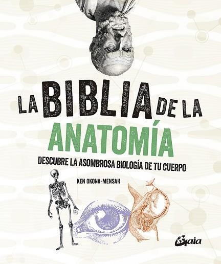 BIBLIA DE LA ANATOMÍA, LA | 9788484459521 | OKONA-MENSAH, KEN | Llibreria La Gralla | Librería online de Granollers