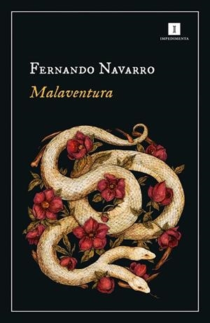 MALAVENTURA | 9788418668340 | NAVARRO, FERNANDO | Llibreria La Gralla | Librería online de Granollers